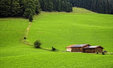 Landscape at the Jenner in Berchtesgadener Land