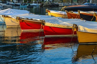 Boats anchored in Portofino harbour