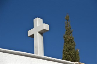 White marble cross in front of cypress tree in cemetery