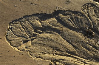 Wavy sand formation on the river bank after flooding