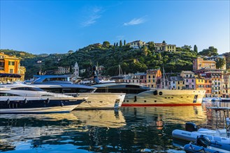Luxury yachts anchor in the harbour of Portofino in the morning sun