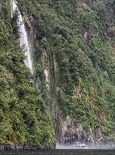 Excursion boat goes to a waterfall in Milford Sound