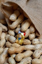 Peanuts and chocolate figure in sack