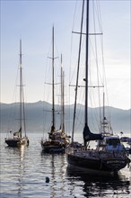 Sailing yachts anchored in the morning light in Portofino harbour