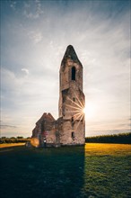 Ruin of a church in a cornfield. Old catholic church tower in the sunset