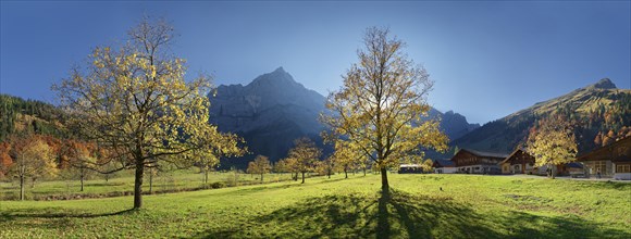 Engalm with autumnal colourful maple trees in low sun below the Spritzkar Karwendel peak