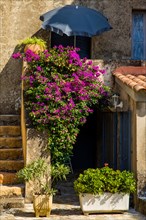 Houses decorated with flowers in Piana in the Calanche