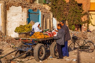 Fruit seller