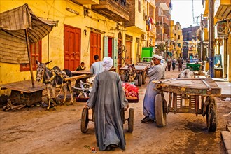Street vendor with handcarts