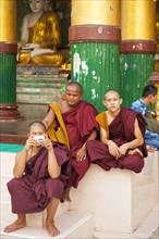 Monk taking photos