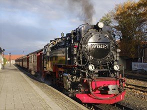 Steam locomotive at Wernigerode station