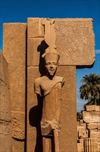 Vestibule behind the 6th pylon: Amun