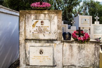 Rogliano on the hillside with several churches and a cemetery with magnificent family tombs