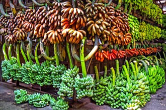 Banana stall