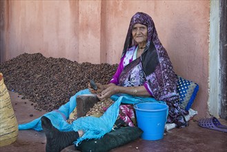 Woman tapping the hard kernels of the argan nut