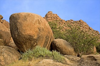 Bizarre granite rocks