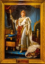 Oil painting of Napoleon in the Palais Fesch