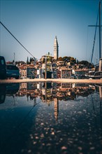 View over a puddle