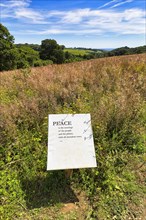 Text panel with the caption Peace in a Meadow
