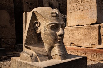 Head of a statue of Ramses II at the entrance pylon