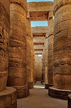 The Hall of Columns in the Main Temple of Amun