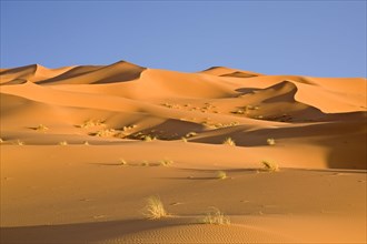 Sand dunes in the desert near Erg Chebbi