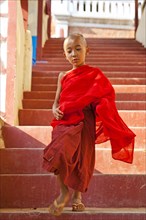 Monk novice