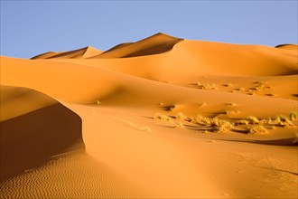 Sand dunes in the desert near Erg Chebbi