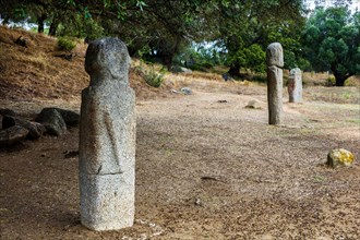 Menhir statues in the plain in front of a 1200 year old olive tree