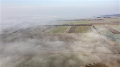 Winter landscape with fog