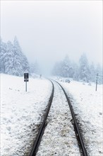 Railway tracks of the Brockenbahn in snowy landscape