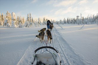 On the road with dog sleds in snowy landscape