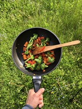 Hand holding pan with fried vegetables