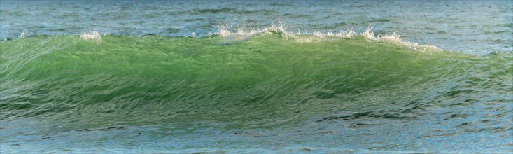 Green wave on a sandy ocean beach. Atlantic coast near Les Sables d'Olonne