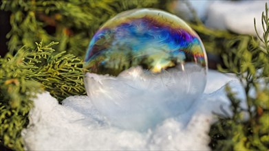 Freezing soap bubble on snow