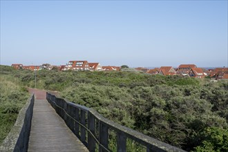Boardwalk through overgrown dune landscape