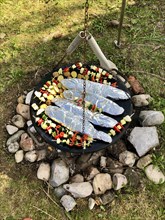 Vegetable skewers and fish wrapped in aluminium foil on a swivel grill over a barbecue fire