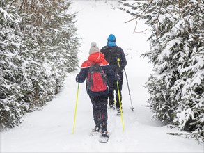 Snowshoe hikers during snowfall in winter