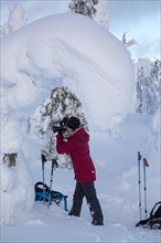 Photographer taking pictures of snow-covered trees in Riisitunturi National Park