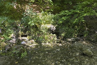 Spring basin of the Echaz