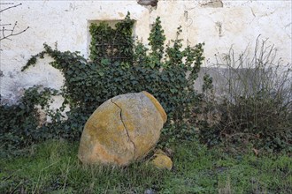 Clay amphora in front of house wall with ivy