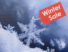 Ice Crystal with a Sticker Winter Sale