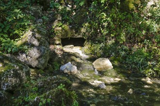 Spring basin of the Echaz