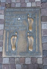 Bronze plaque foot and ulna
