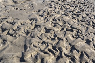 Sand with pattern at low tide