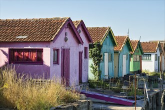 Colourful oyster farmers' huts