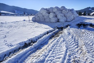 Snow-covered silage bales near Nellenbruck