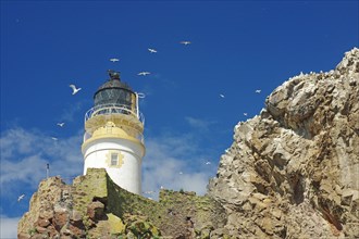 Lighthouse and cliffs