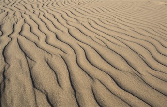 Sand with wave pattern