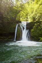 Waterfall and mossy rocks